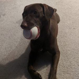 Meet your Posher, Tony